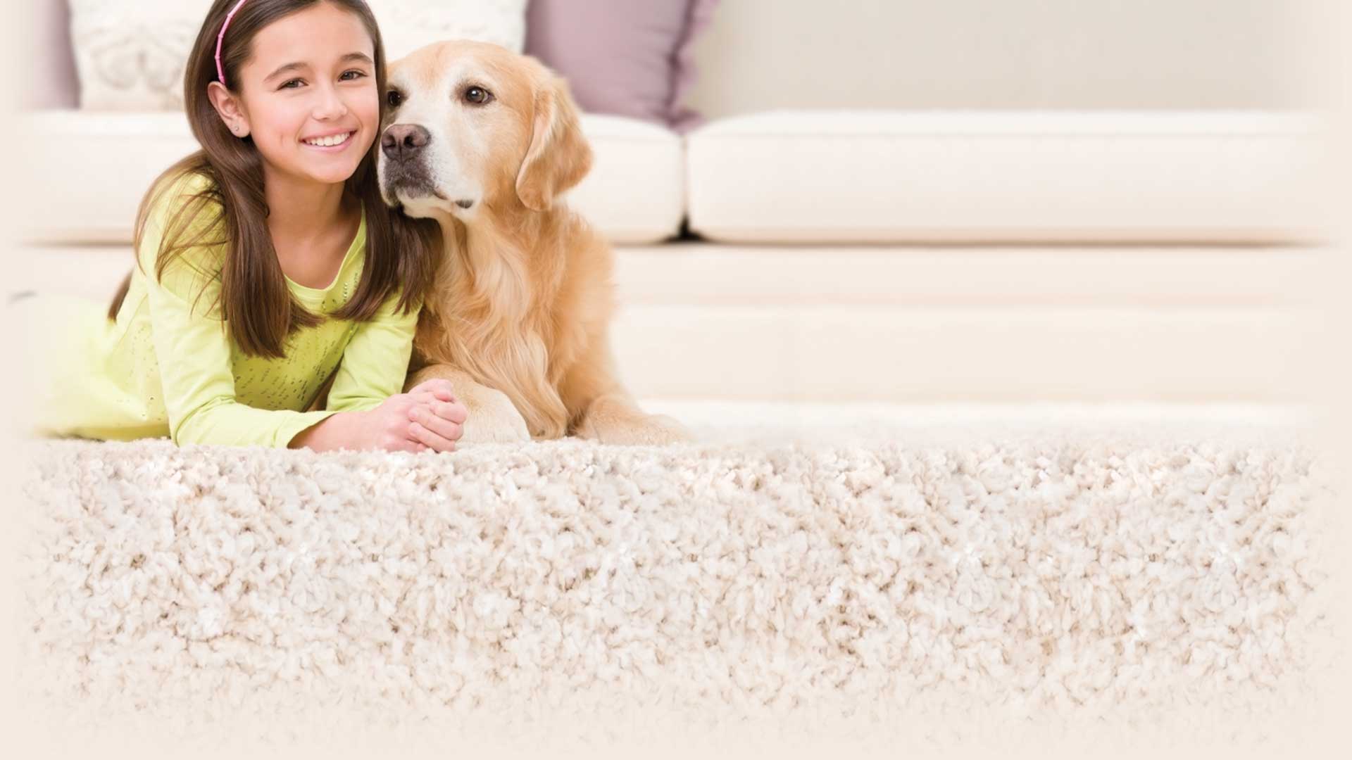 Pet and human friendly carpet cleaning service in Palm Springs, CA