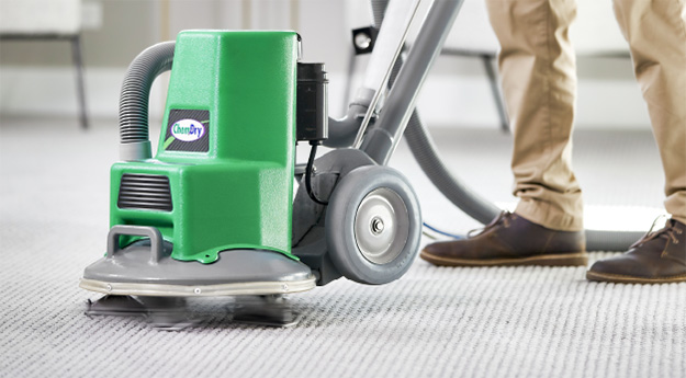 technician cleans carpet