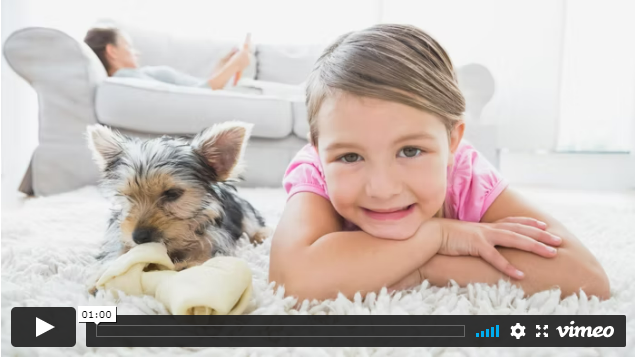 Solo Chem-Dry Vs Steam Cleaning Palm Desert